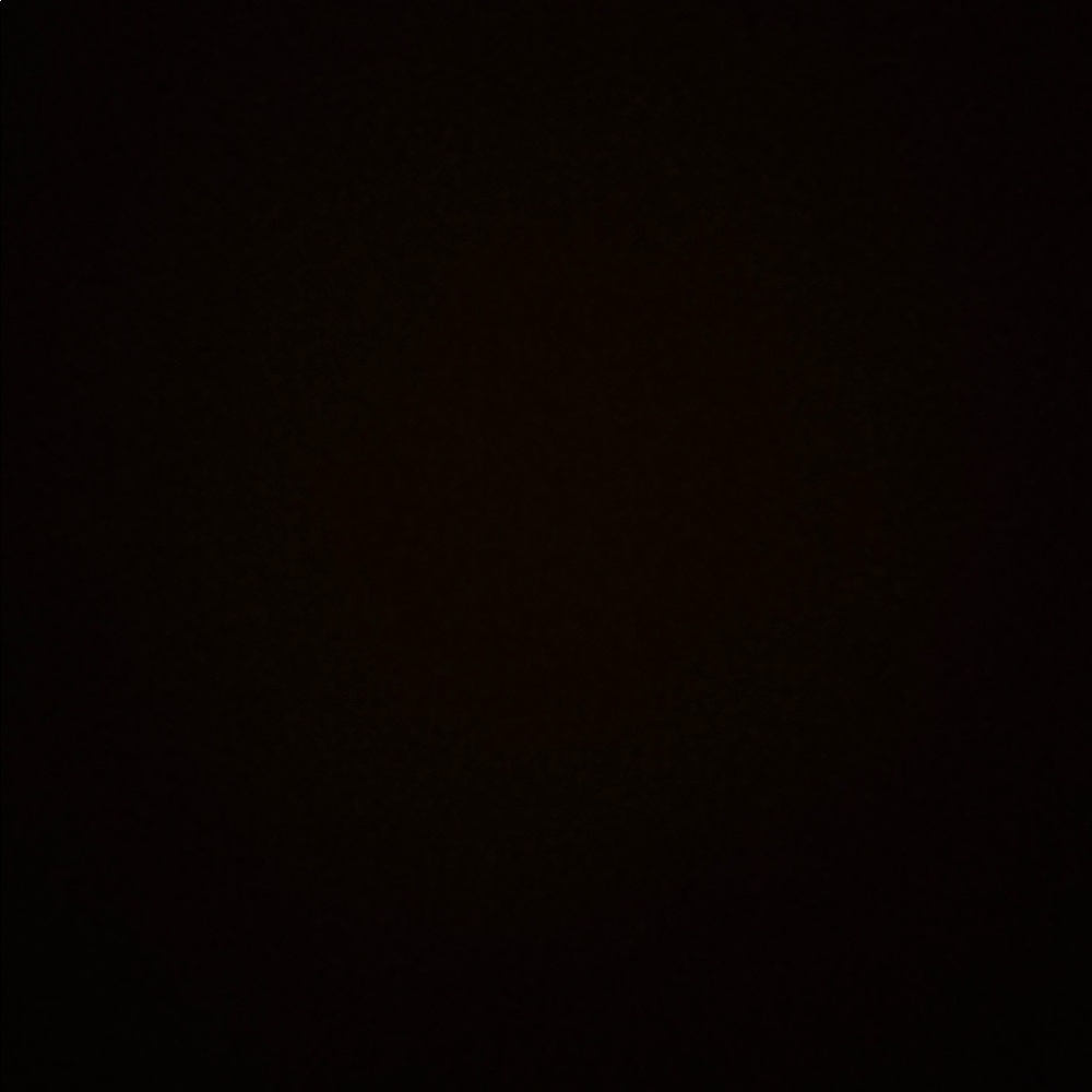 Meet your Posher, Elona